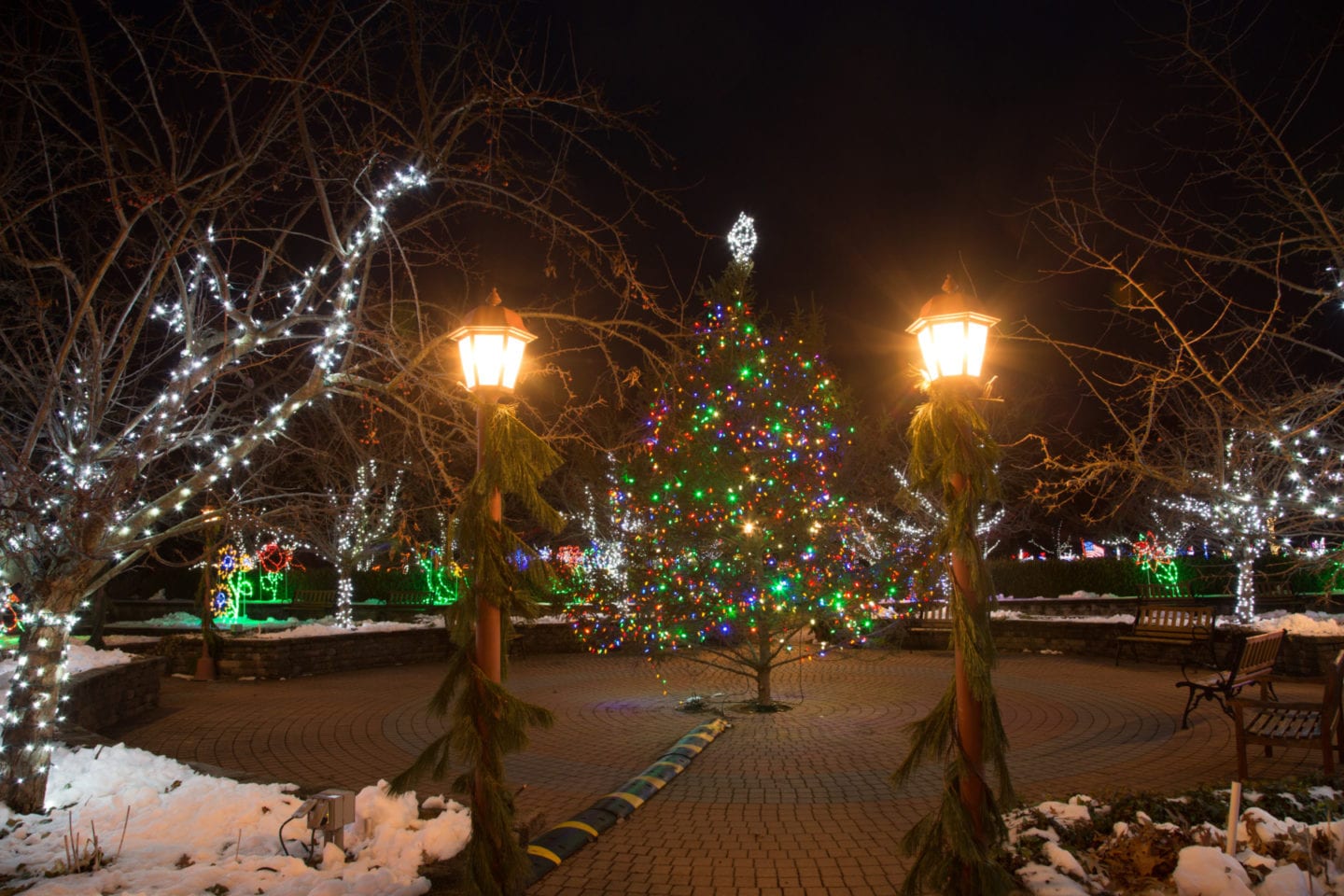 Christmas at the Arboretum