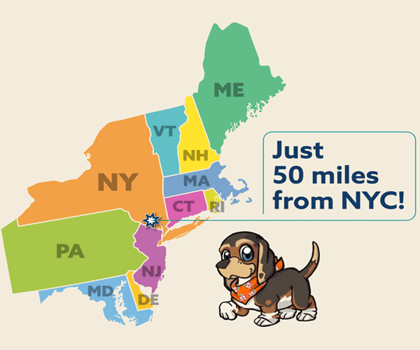 Hudson Map