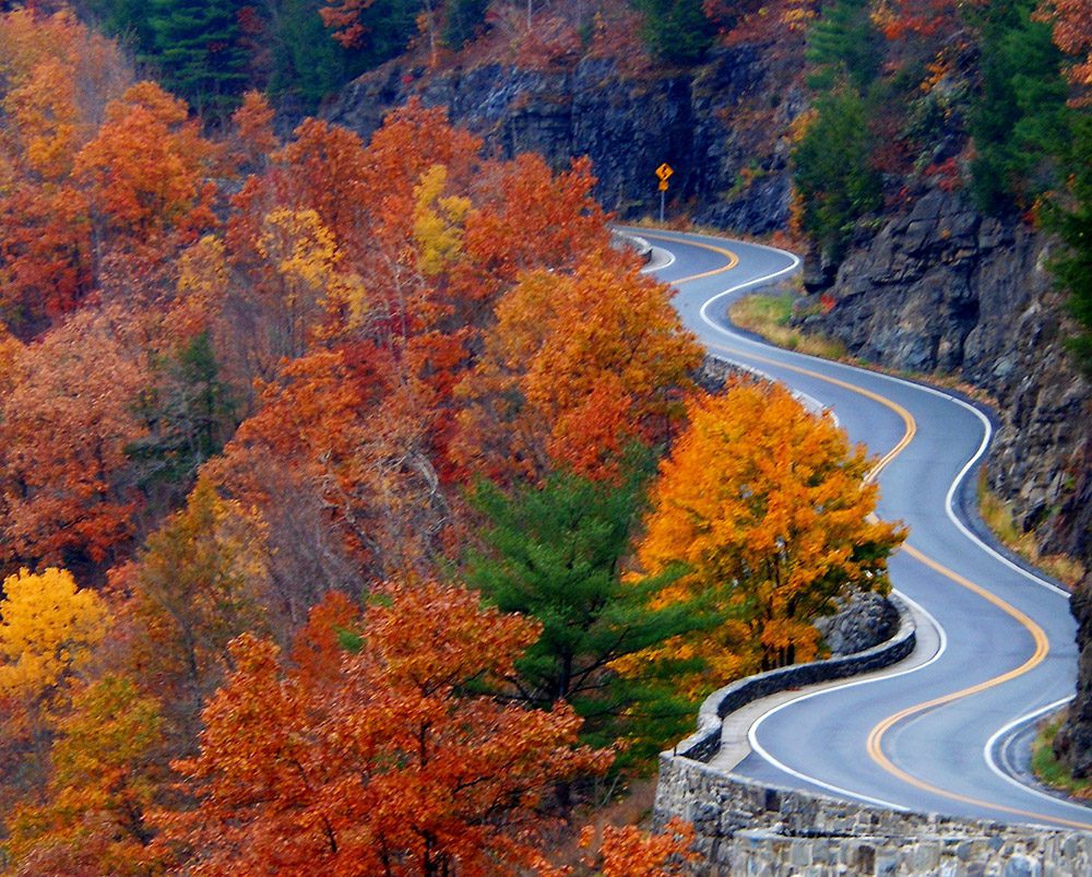 Fall Fun in Orange County